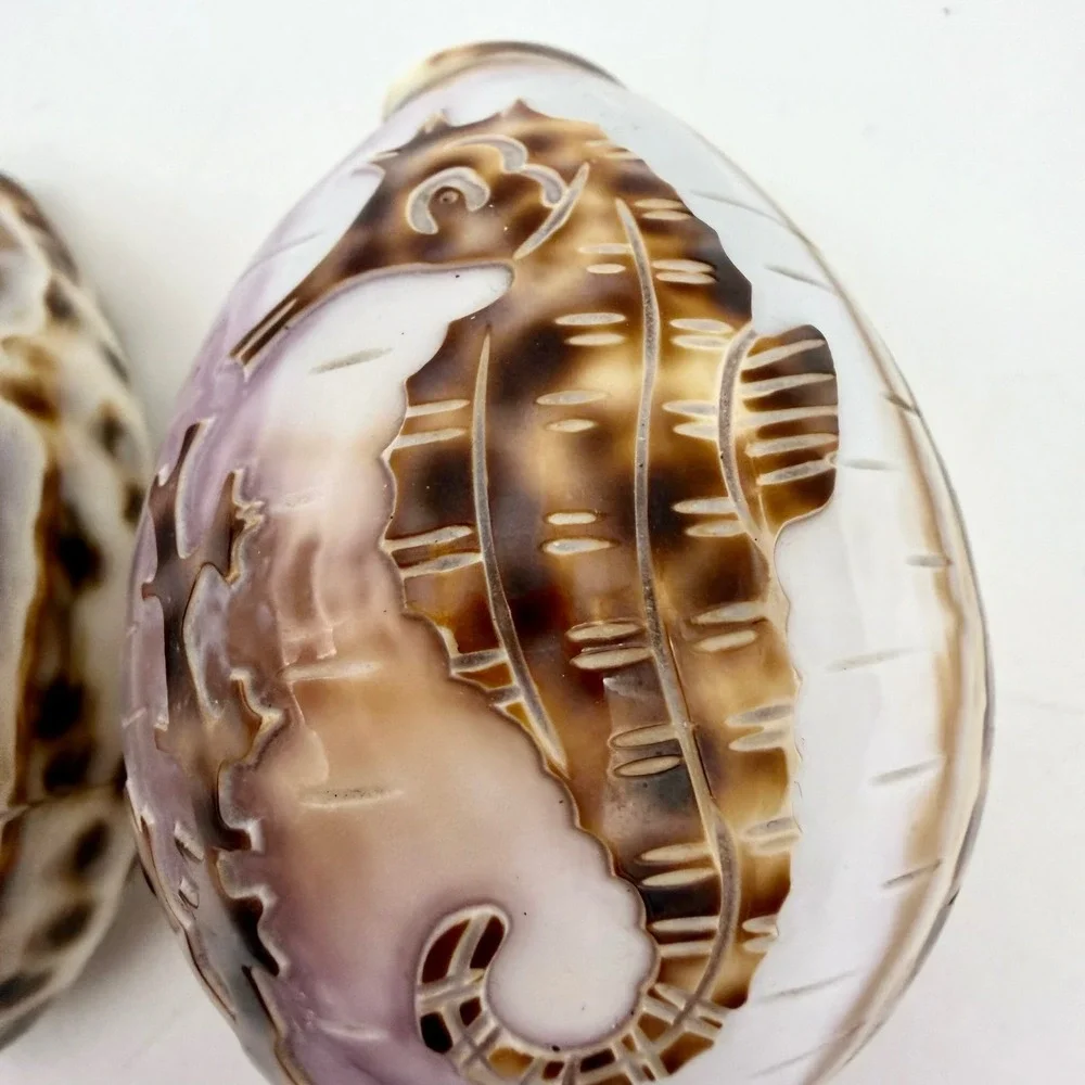 Vintage Carved Tiger Cowrie Shell‎ Pair Pelican Seahorse Cameo Coastal Estate